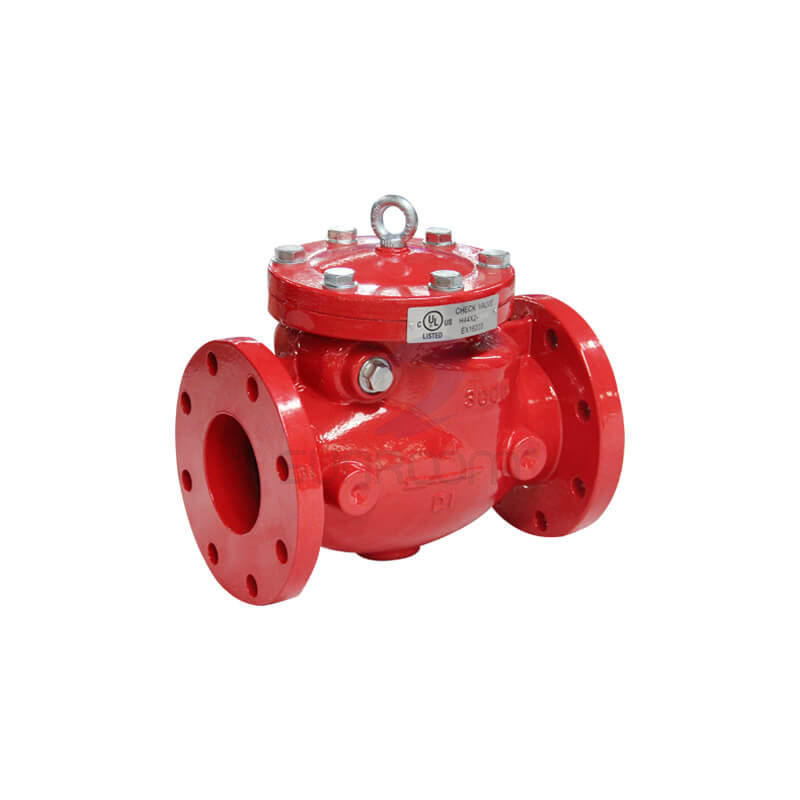 High Pressure Flanged Swing Check Valve with Epoxy Coating