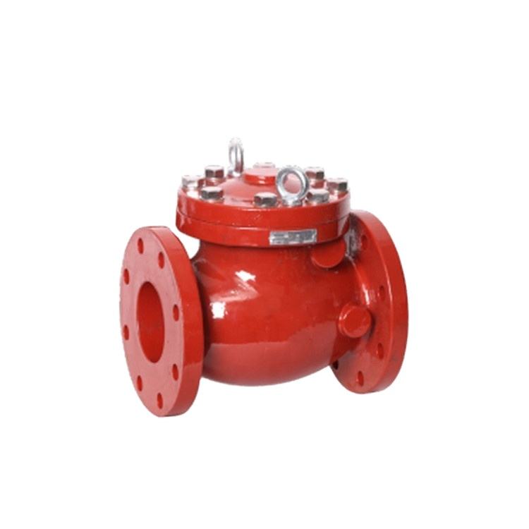 High Pressure Flanged Swing Check Valve with Epoxy Coating